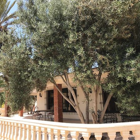 Tiguimi Vacances - Oasis Villas, Cadre Naturel Et Vue Montagne Agadir Exteriör bild