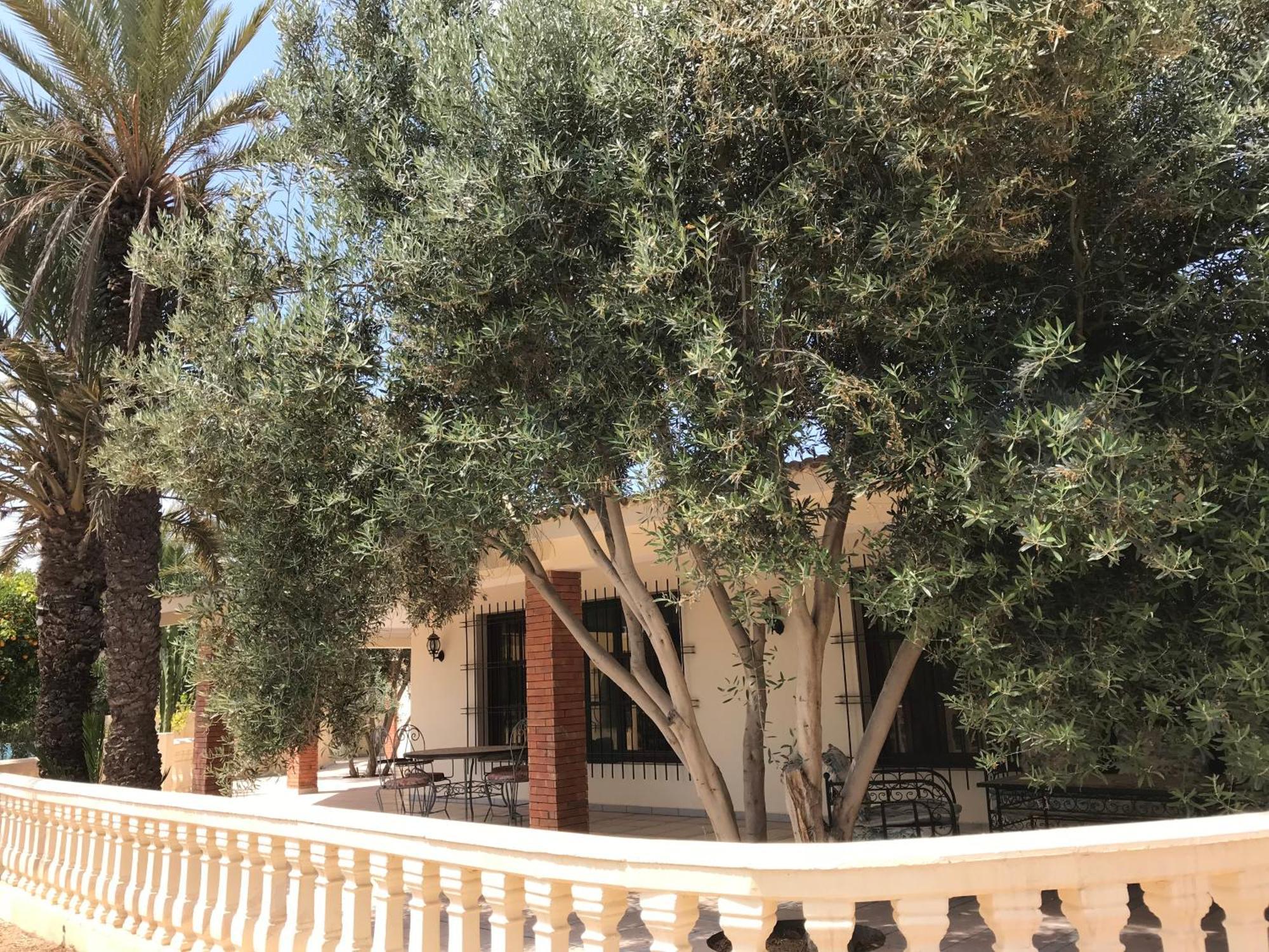 Tiguimi Vacances - Oasis Villas, Cadre Naturel Et Vue Montagne Agadir Exteriör bild