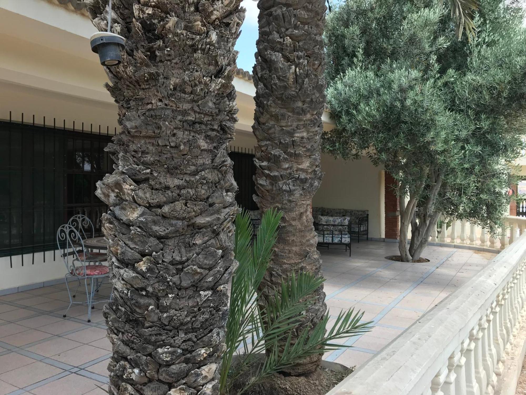 Tiguimi Vacances - Oasis Villas, Cadre Naturel Et Vue Montagne Agadir Exteriör bild
