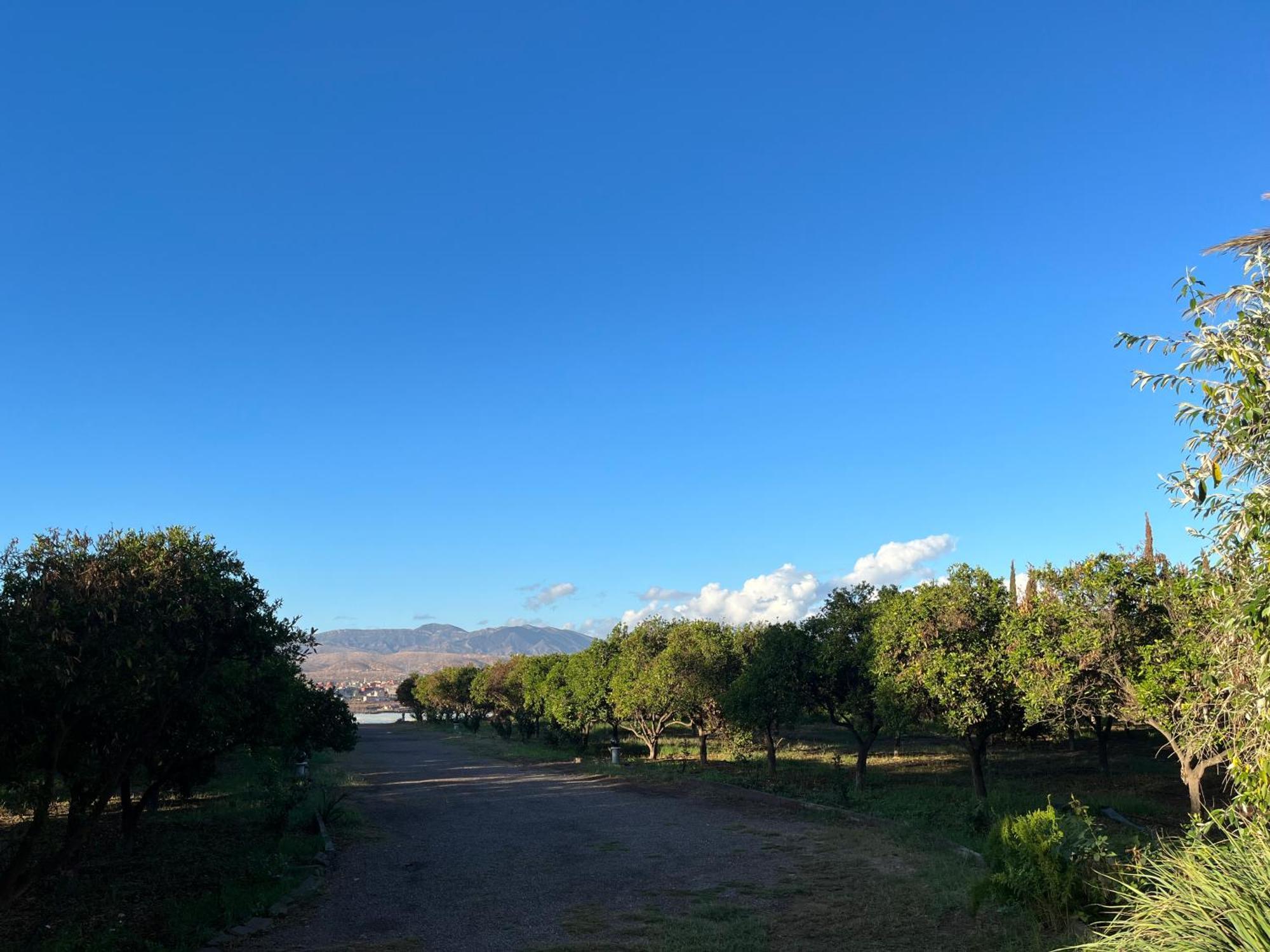 Tiguimi Vacances - Oasis Villas, Cadre Naturel Et Vue Montagne Agadir Exteriör bild