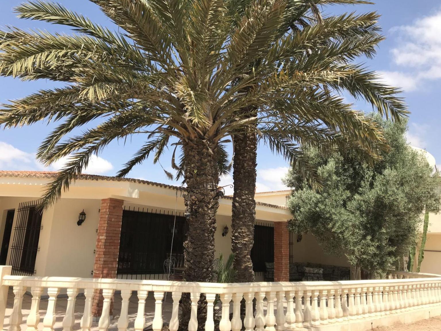 Tiguimi Vacances - Oasis Villas, Cadre Naturel Et Vue Montagne Agadir Exteriör bild